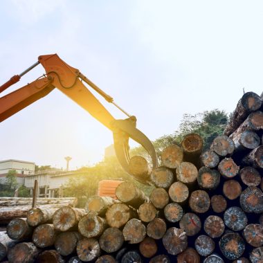 usine de traitement du bois (1)